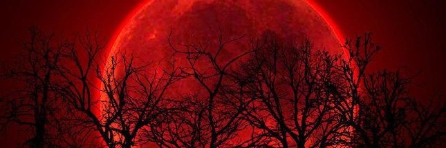 tillow's profile banner image