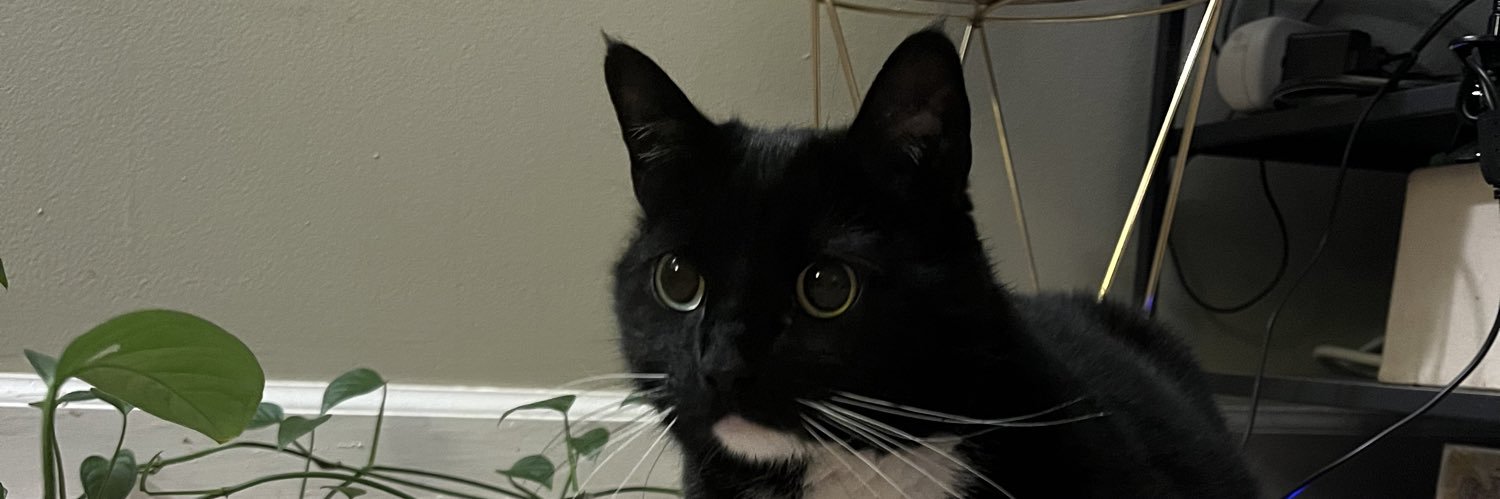 aljohns7's profile banner image