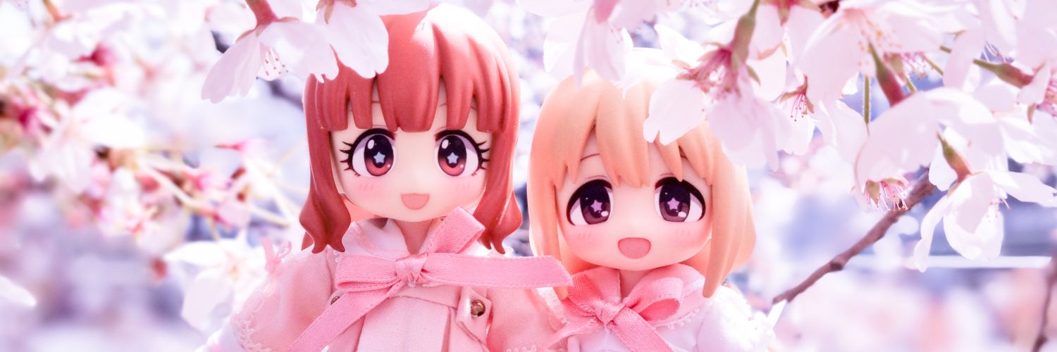 카노푸스🌸 banner