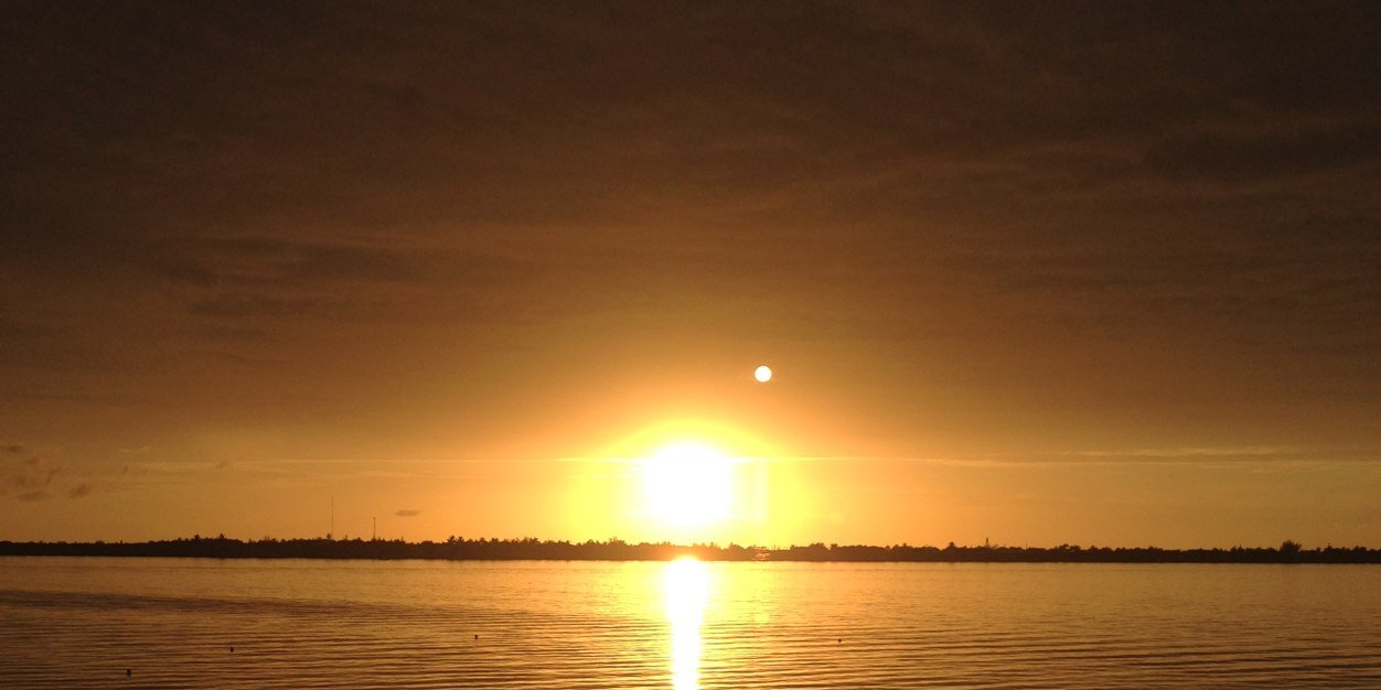 Scuba 🔱 Steve banner