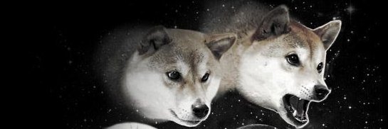 SrodrigoX16's profile banner image