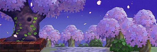 monicav645's profile banner image