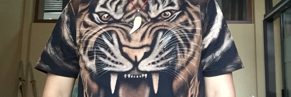 RCakrabuana's profile banner image