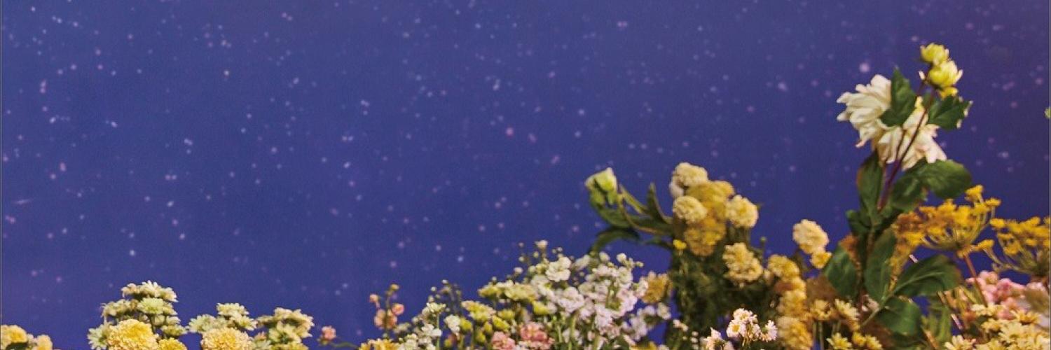 KiTeLetZ63's profile banner image