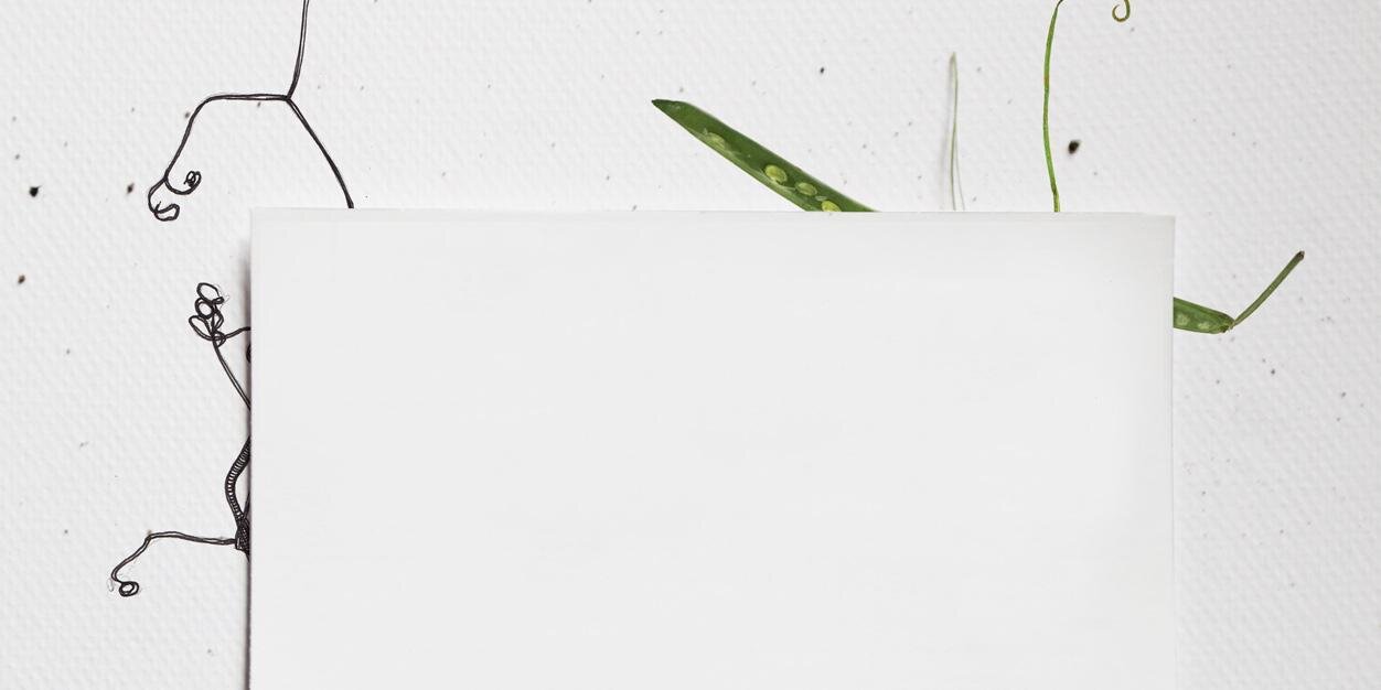 Matt Wilkinson banner