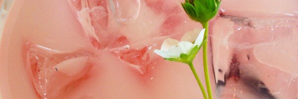 Jacki_Mo Profile Banner