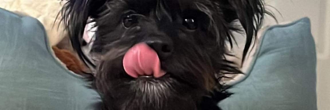reed214's profile banner image
