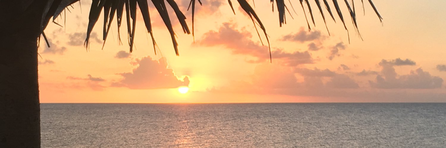 TylerC98YT's profile banner image
