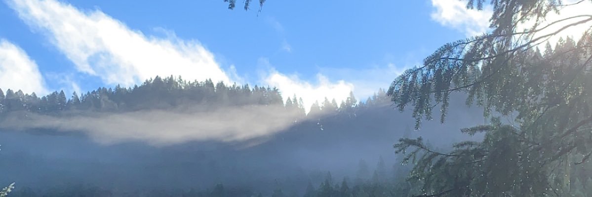 Alison_Raney's profile banner image