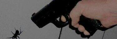 paream ` banner