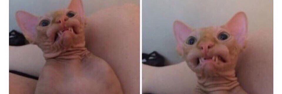 roobsraad's profile banner image