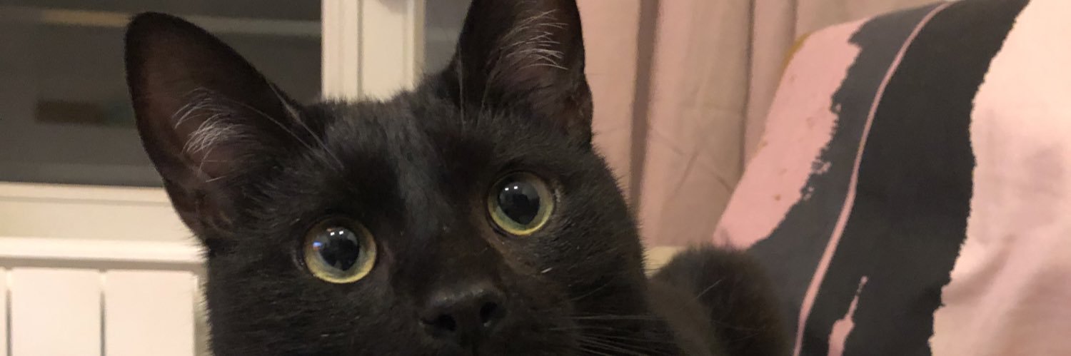 niniju3's profile banner image