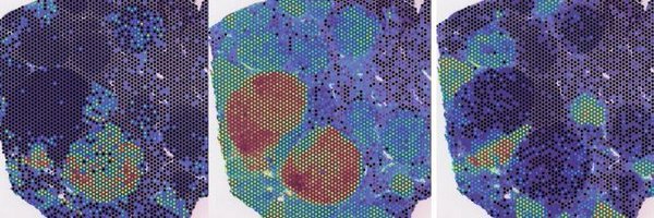 tschaharganeh Profile Banner