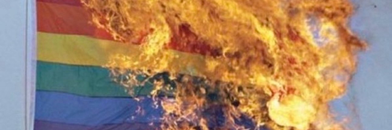 springwaker's profile banner image