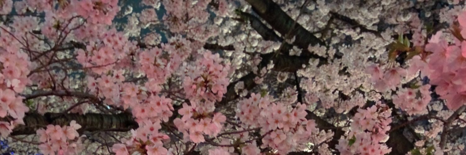 kilolyn's profile banner image