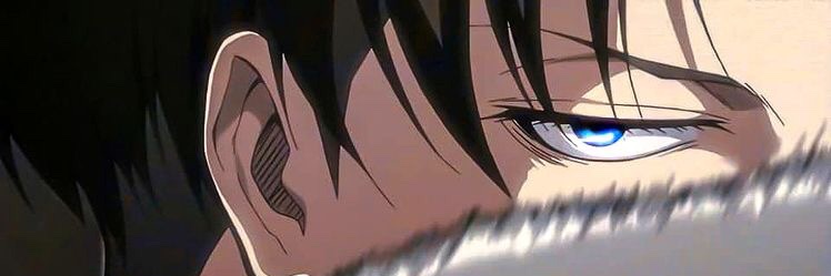 mild ackerman/lrsc banner