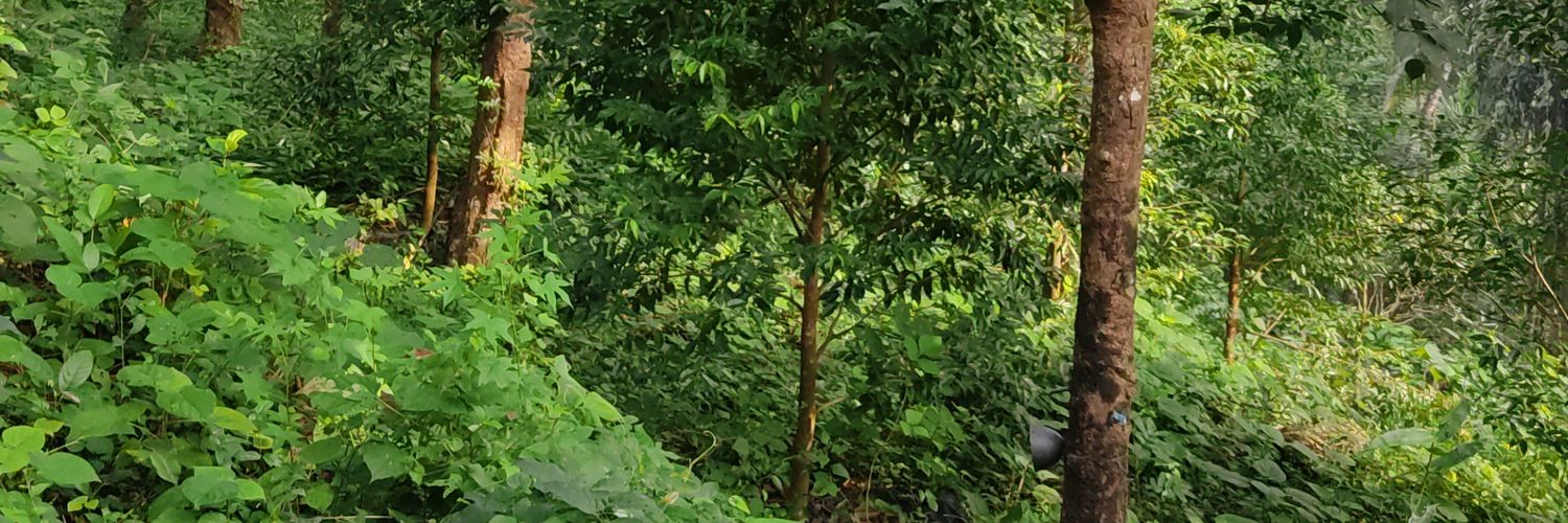 PrashanthJain19's profile banner image