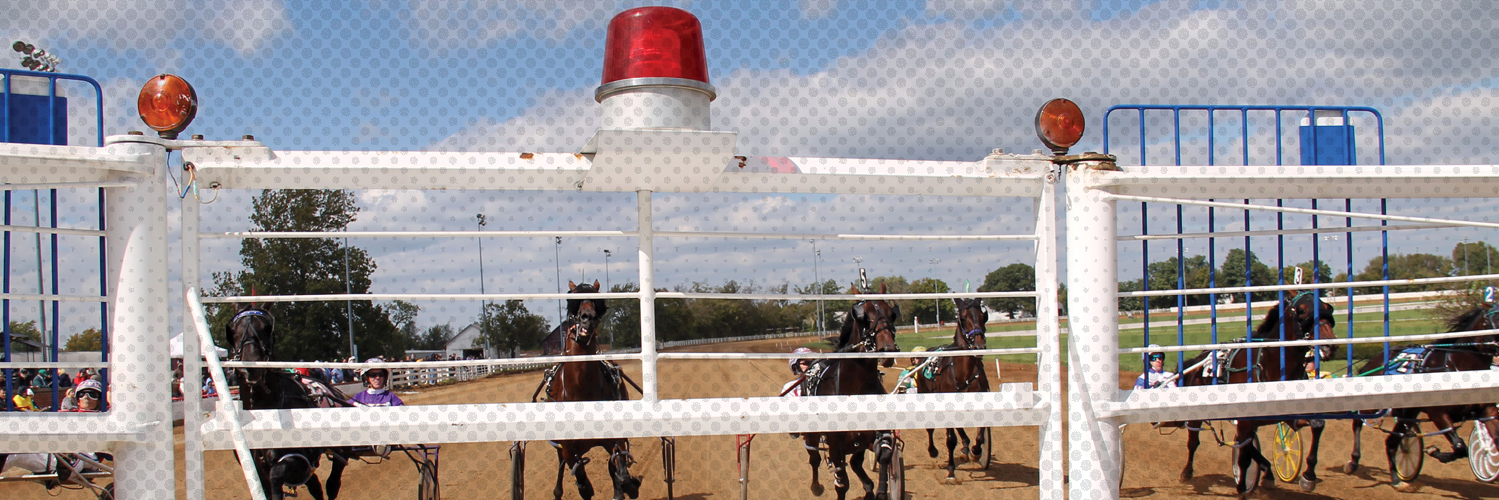 DRF Harness's banner