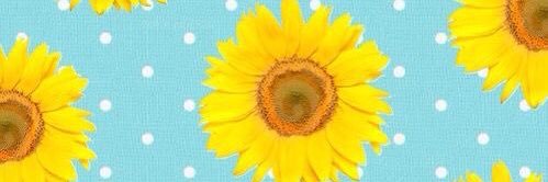 DavisCaitlin97's profile banner image