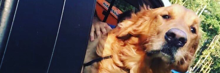 TannerBananer22's profile banner image