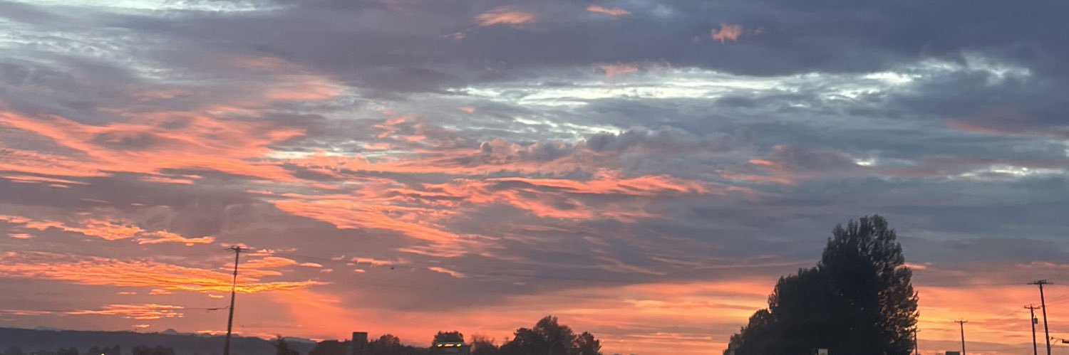 ashleighlaigh's profile banner image