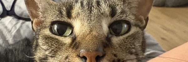 Hillary60363296 Profile Banner