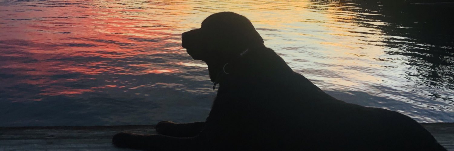 kaitbrooke30's profile banner image