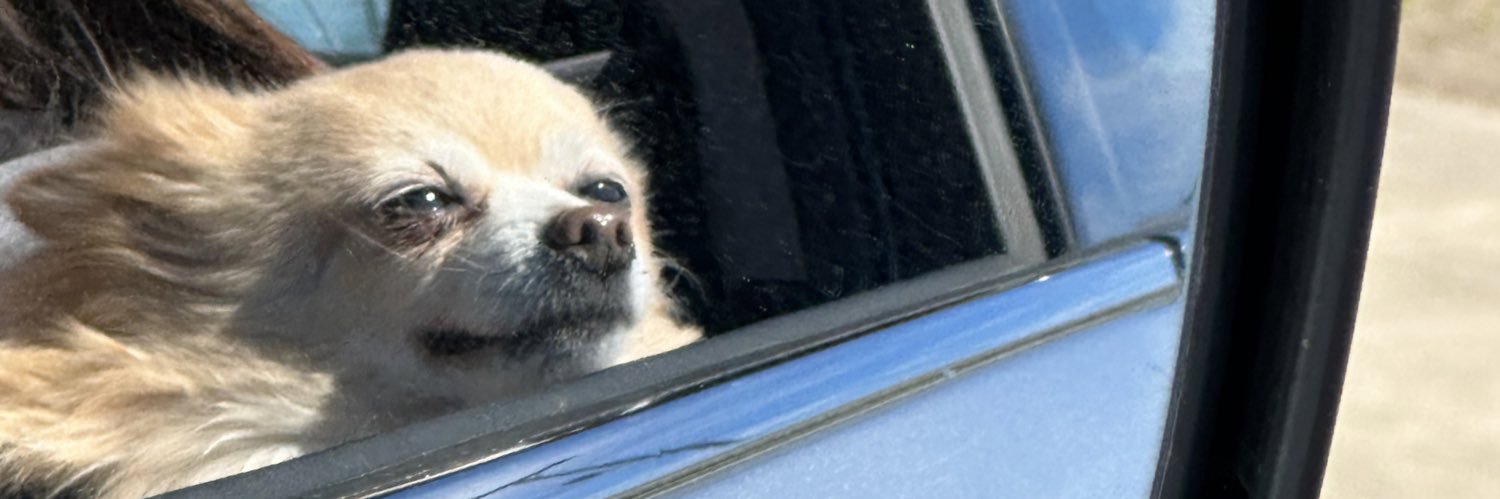 bbgrill01's profile banner image