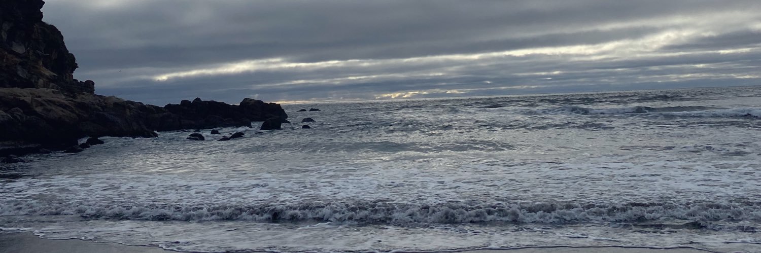 Cata 양🧚‍♀️ banner