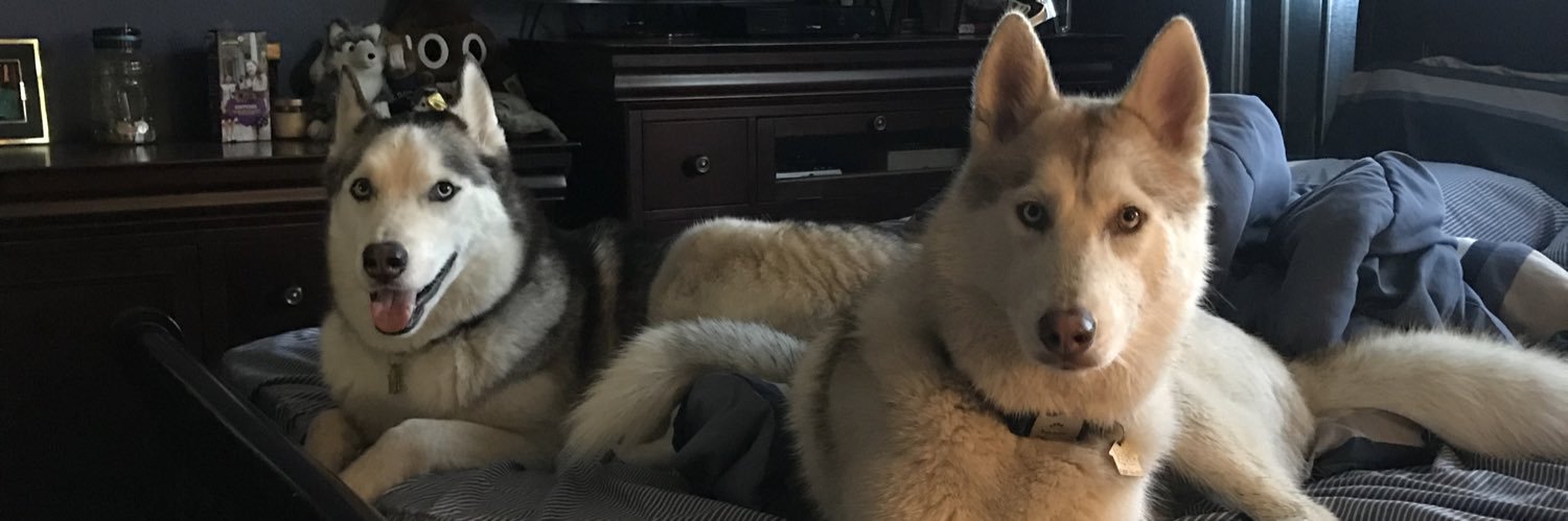 DepressedBruin's profile banner image