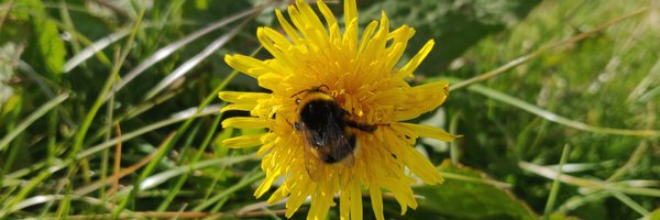 SLarragy Profile Banner