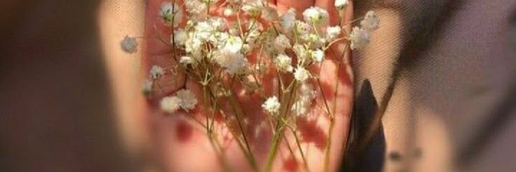 rano_ab22's profile banner image