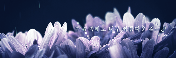 contaejin's profile banner image