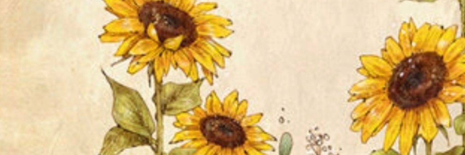 heallang's profile banner image