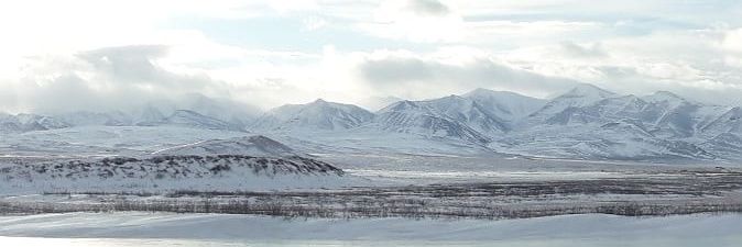 Pertti Ala-aho banner