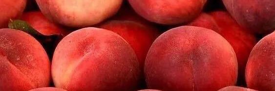 🌝 banner
