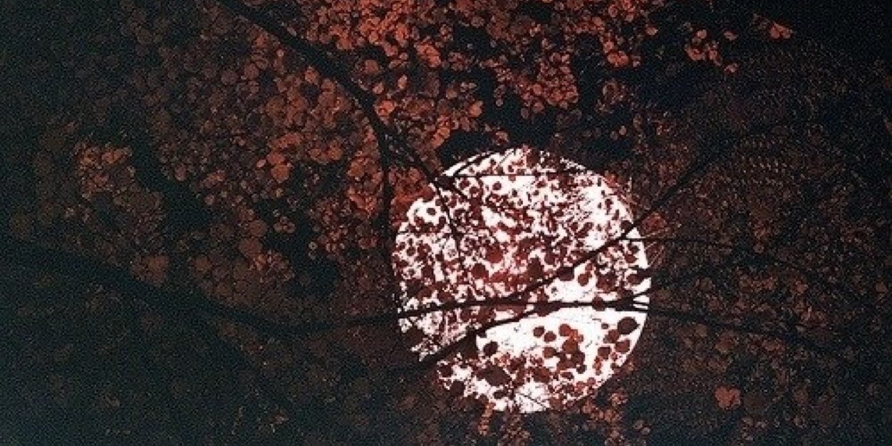 TwistedAllure's profile banner image