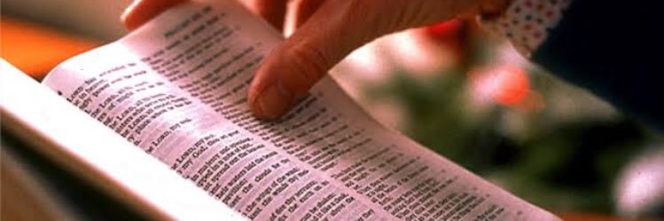 BibliaEnLinea® ⚓️'s banner