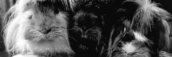 GonzaMaturana87 Profile Banner