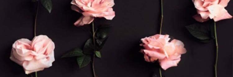 Ching 👑 banner