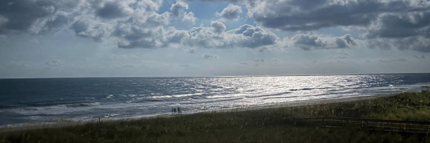 zoeparillo's profile banner image