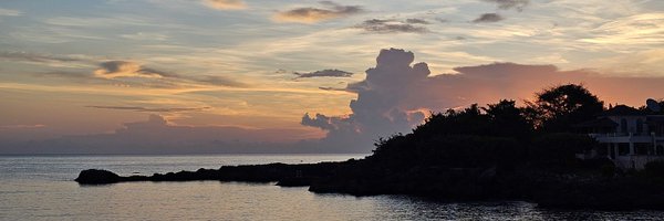 SpilTheTeaPhoto Profile Banner