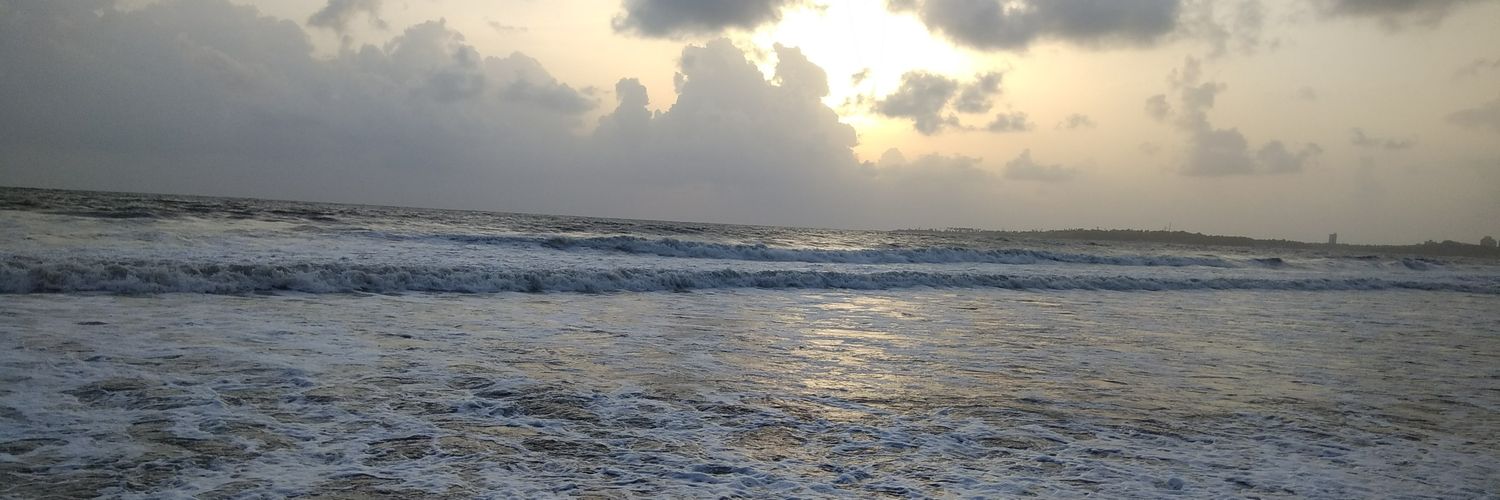 sankyner's profile banner image