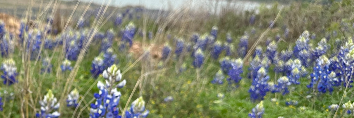 newlifeben banner