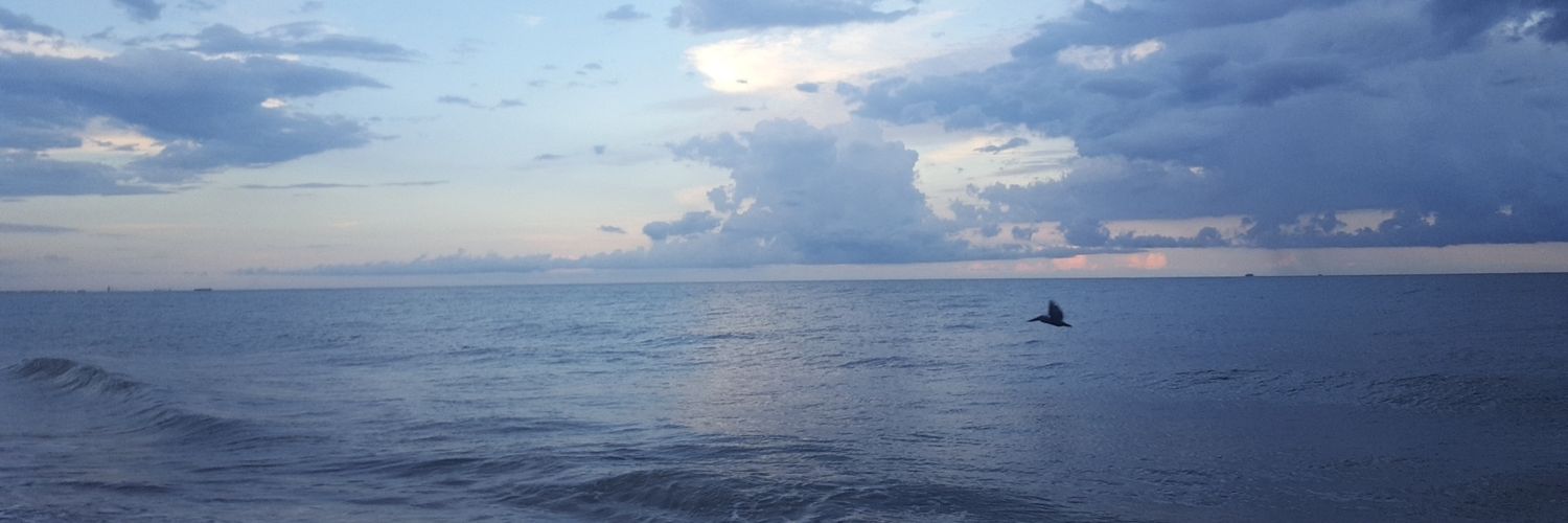 maddi_friday's profile banner image