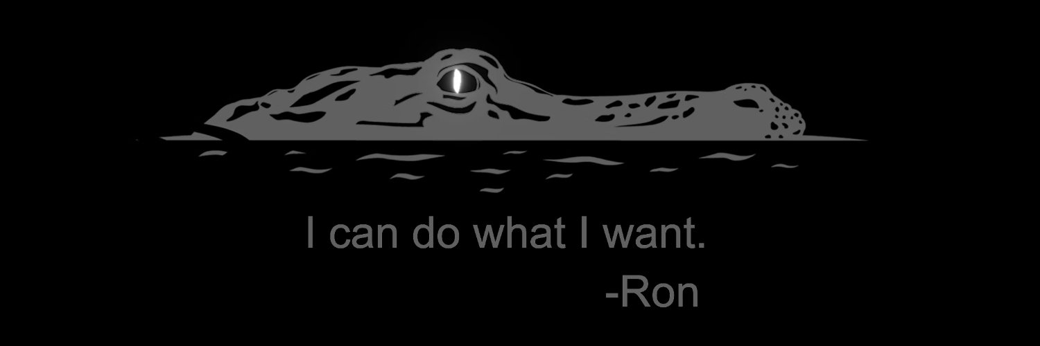 Ron DeSwanson 🇺🇸🇮🇱 banner