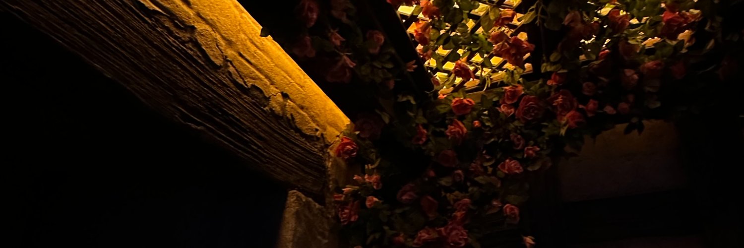 Ernika banner