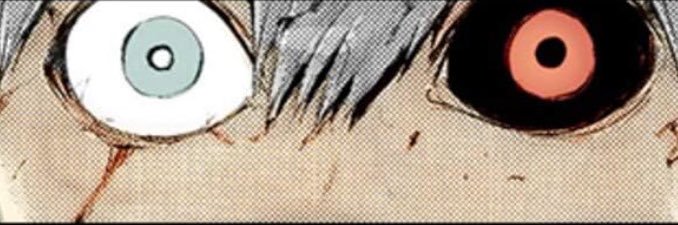 derek banner