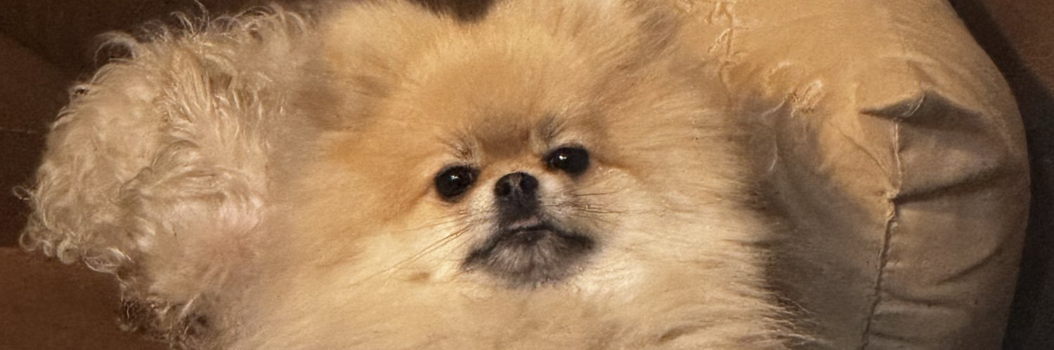 Pip banner