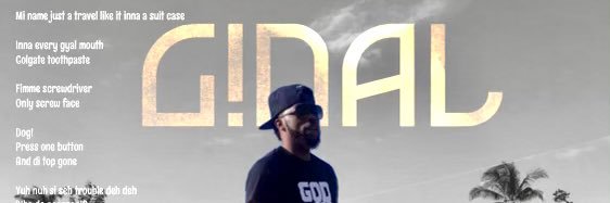 LionfaceRecords's profile banner image